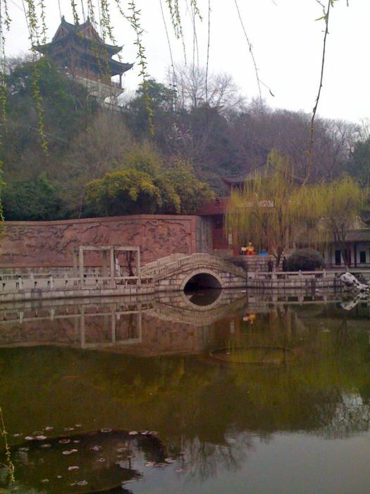 img15.jpg