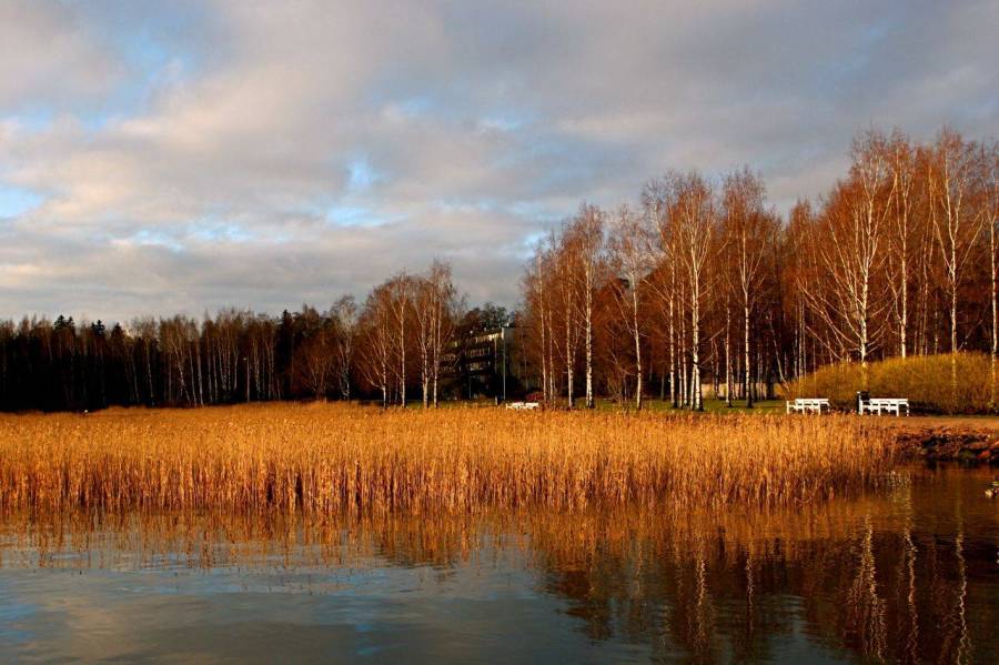 img_6627_2.jpg