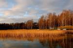 img_6627_2.jpg