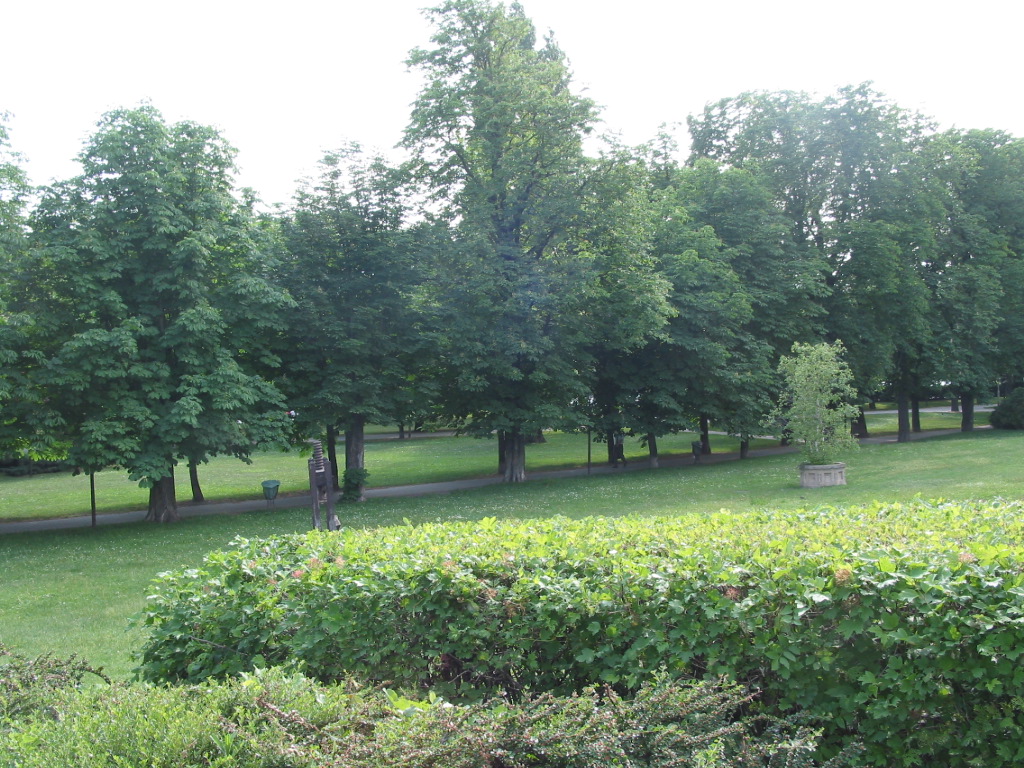 161-6161_IMG.JPG