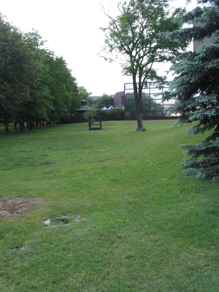 161-6163_IMG.JPG