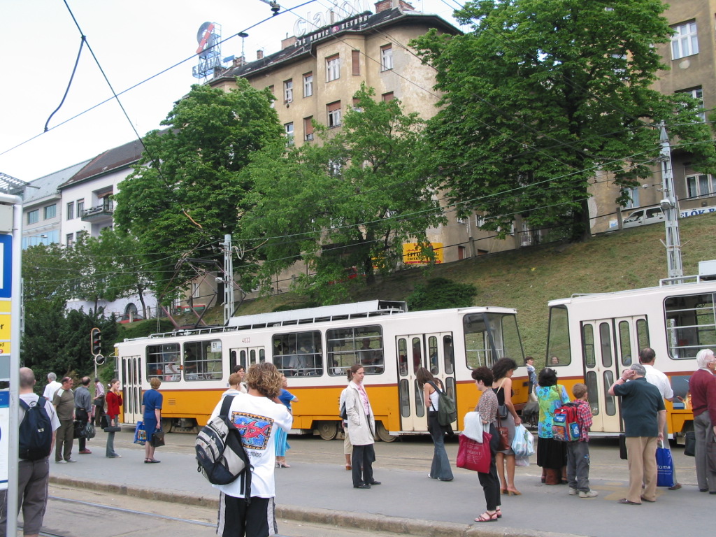 161-6164_IMG.JPG