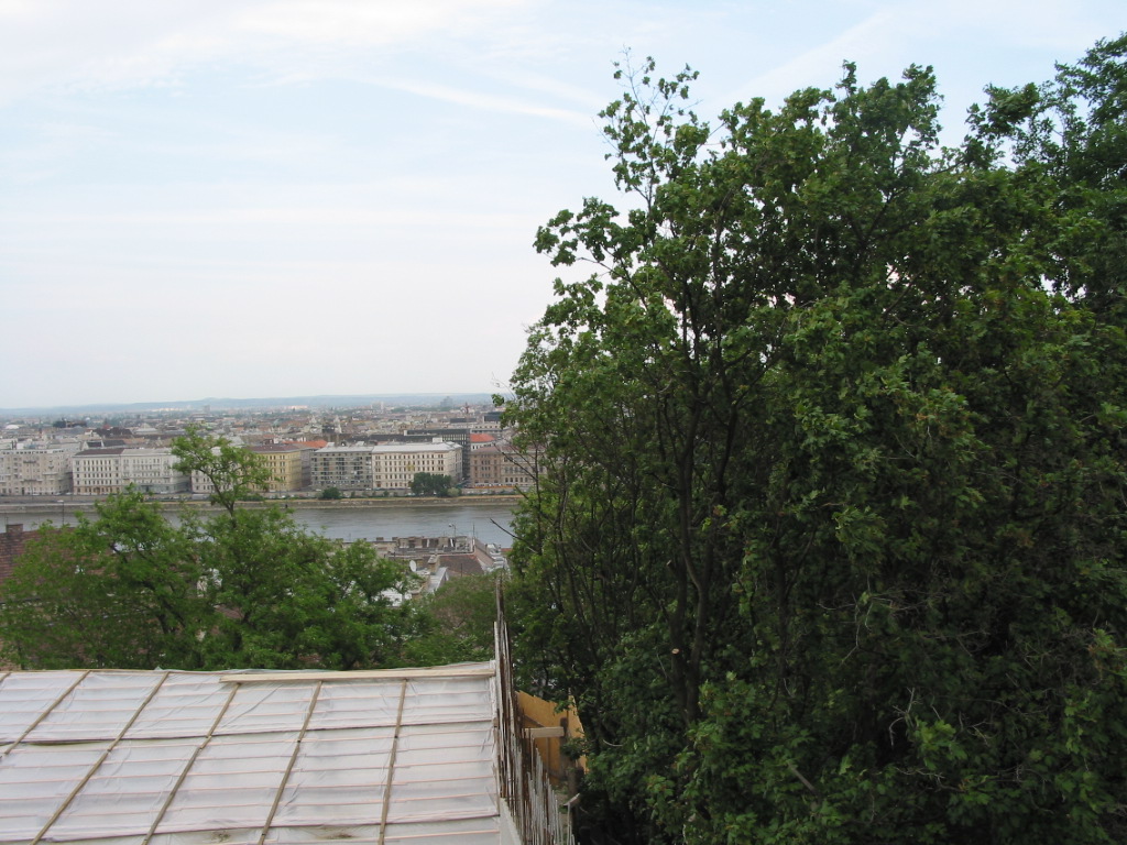 161-6183_STE.JPG
