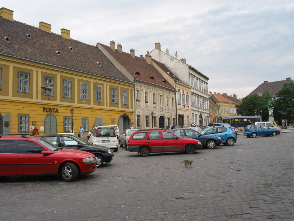 161-6188_IMG.JPG