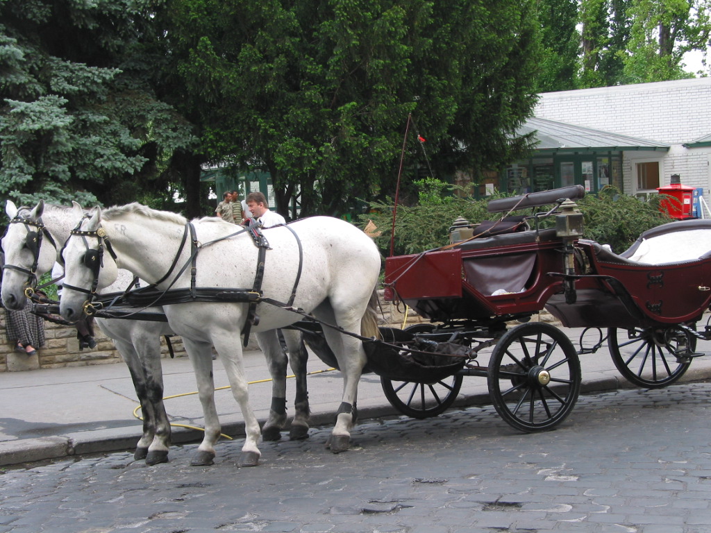 162-6209_IMG.JPG