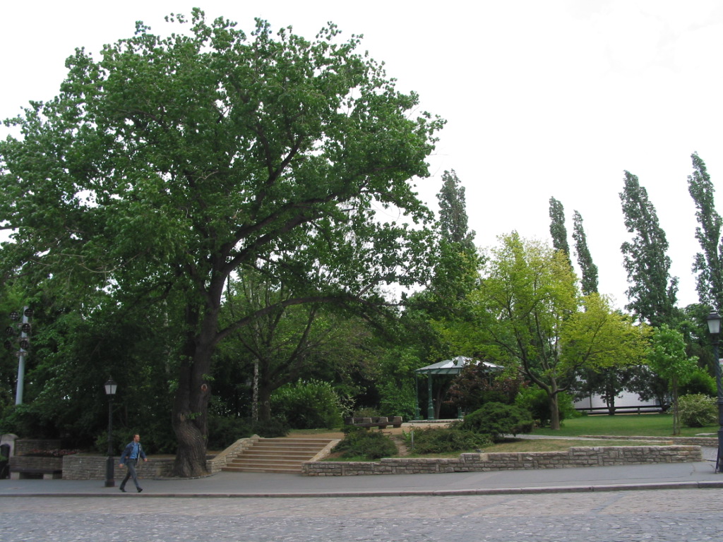 162-6218_IMG.JPG