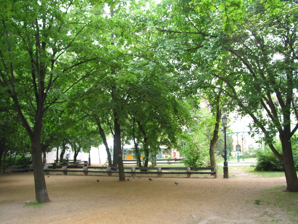 162-6229_IMG.JPG