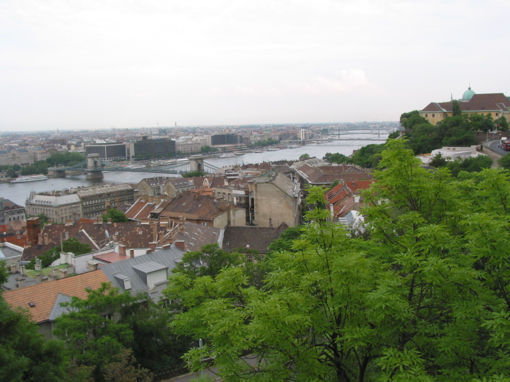 162-6239_IMG.JPG