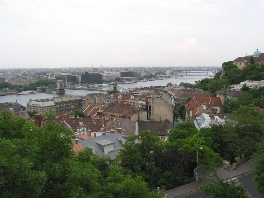 162-6241_IMG.JPG