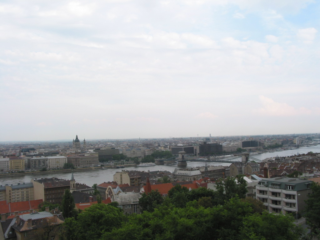 162-6272_STE.JPG