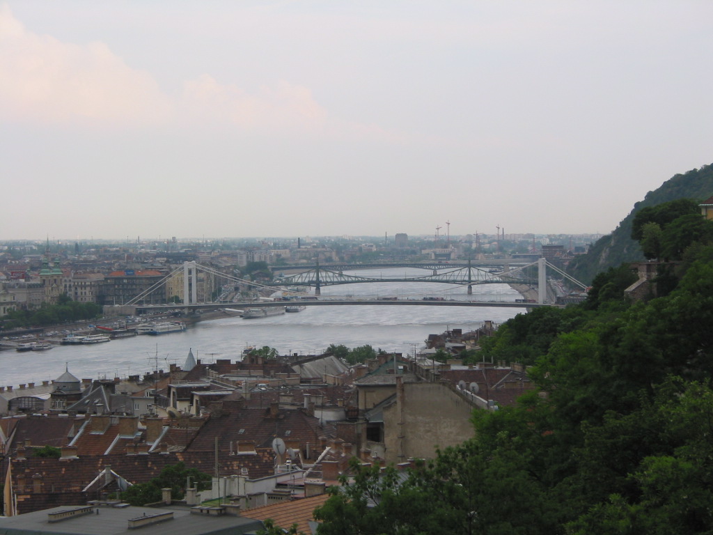162-6275_IMG.JPG