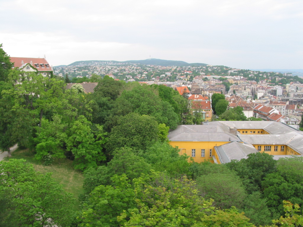 162-6283_IMG.JPG