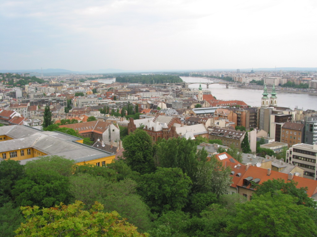 162-6284_IMG.JPG