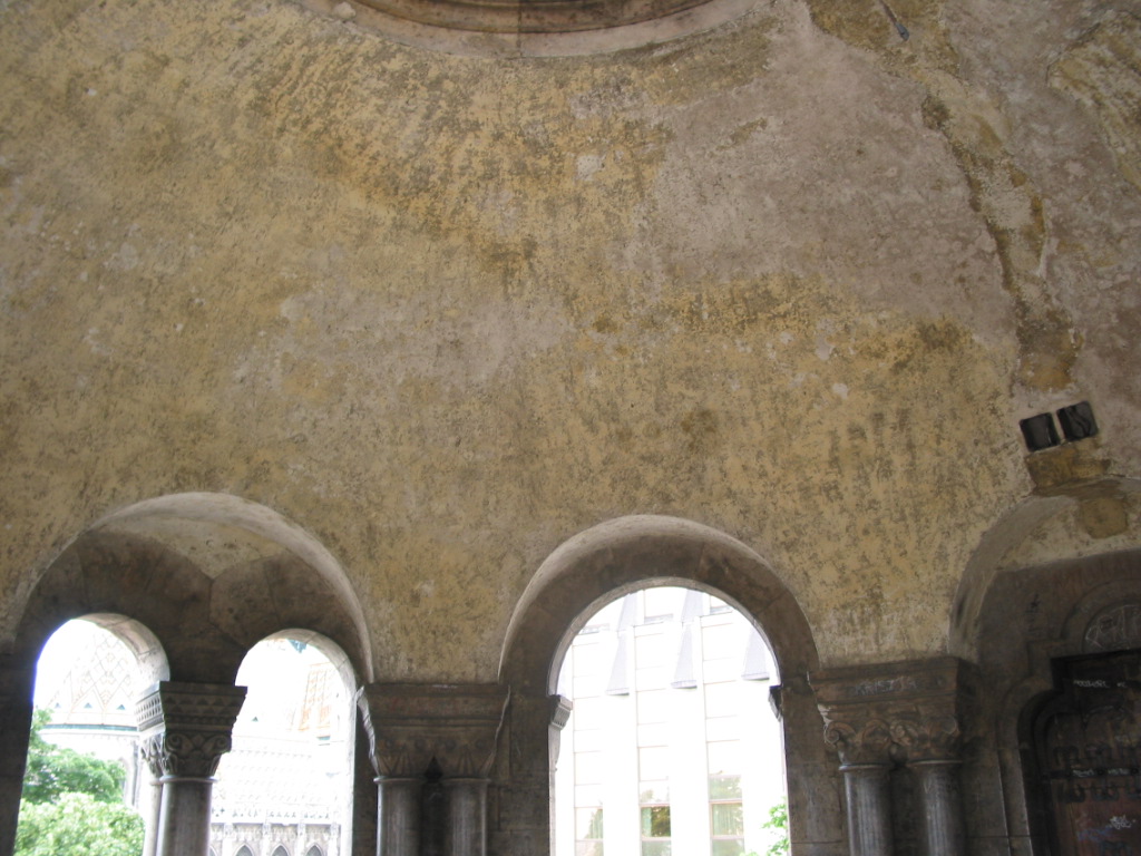 162-6289_STC.JPG