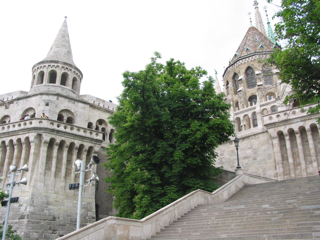 162-6299_IMG.JPG
