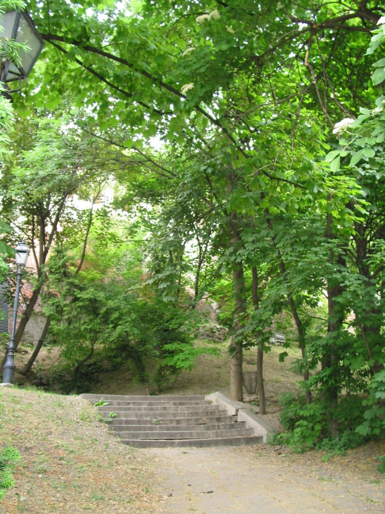 163-6303_IMG.JPG