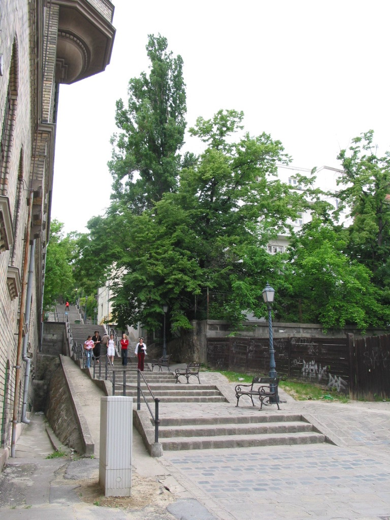 163-6310_IMG.JPG