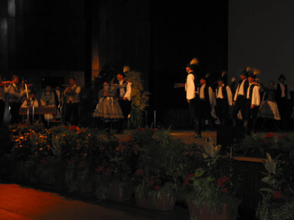 164-6444_IMG.JPG