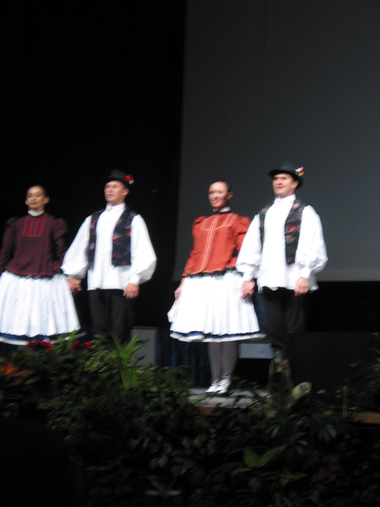 164-6449_IMG.JPG