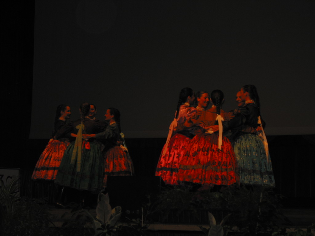 164-6452_IMG.JPG