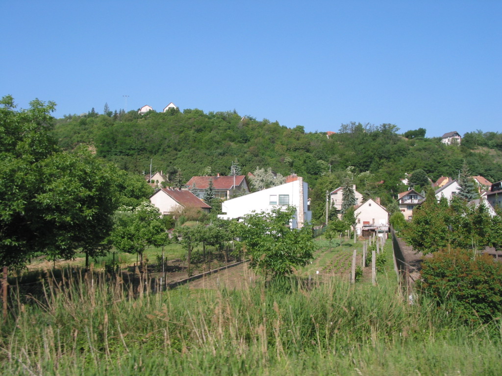 166-6636_IMG.JPG