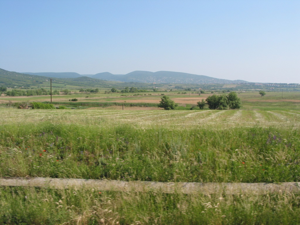 166-6645_IMG.JPG