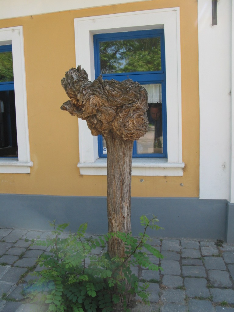 166-6670_IMG.JPG
