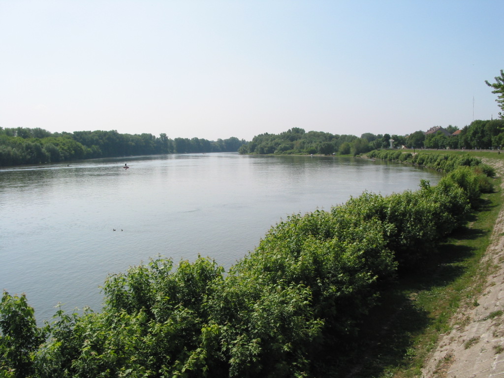 167-6718_IMG.JPG