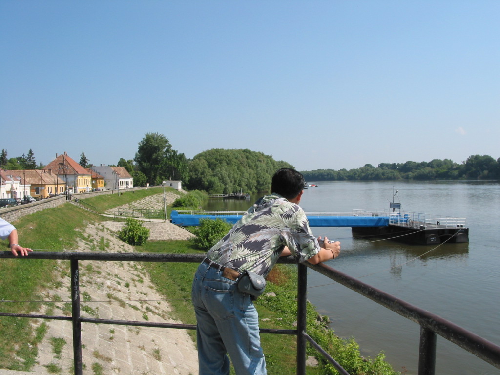 167-6719_IMG.JPG
