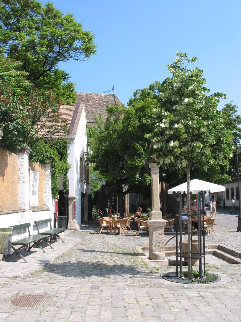 167-6741_IMG.JPG