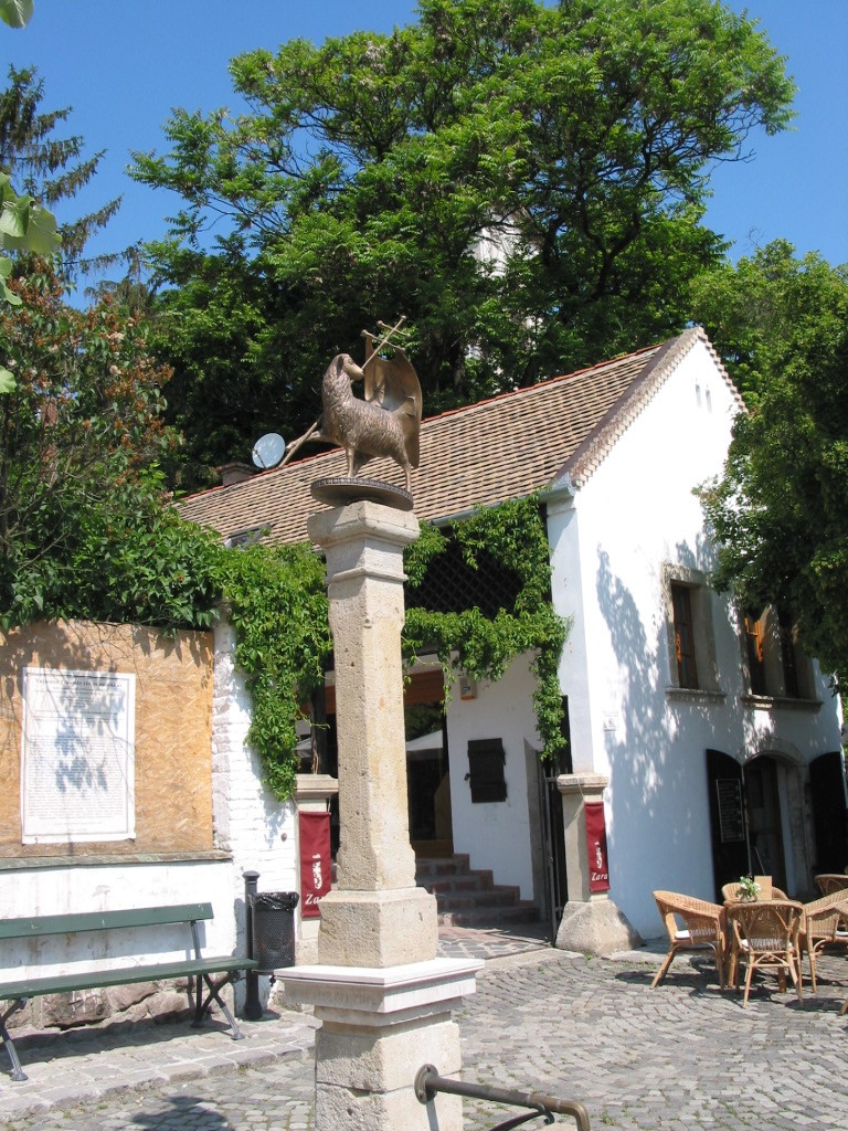 167-6743_IMG.JPG