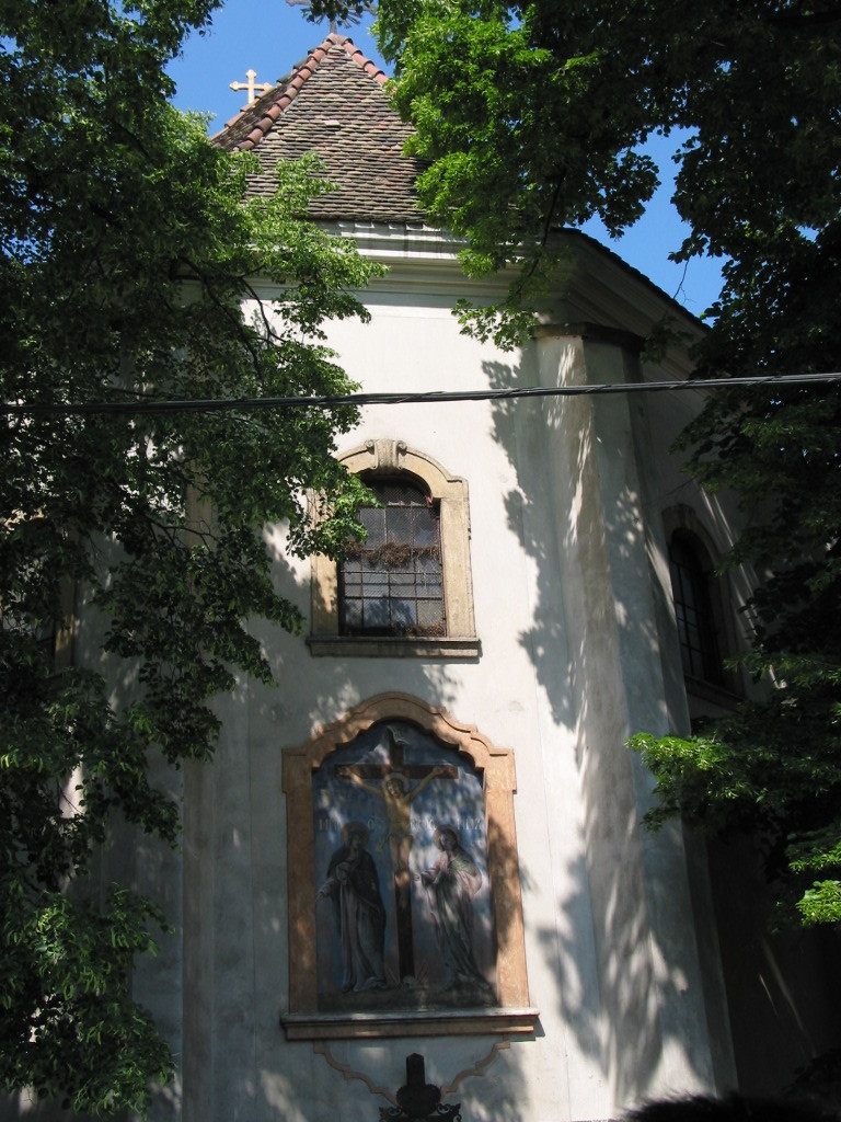 167-6750_IMG.JPG