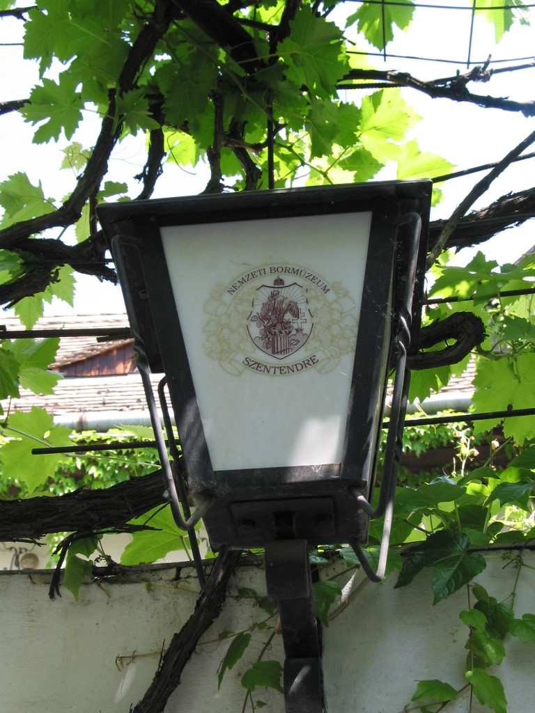 167-6768_IMG.JPG