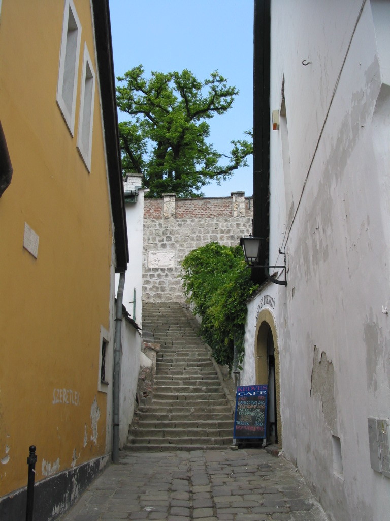 167-6779_IMG.JPG