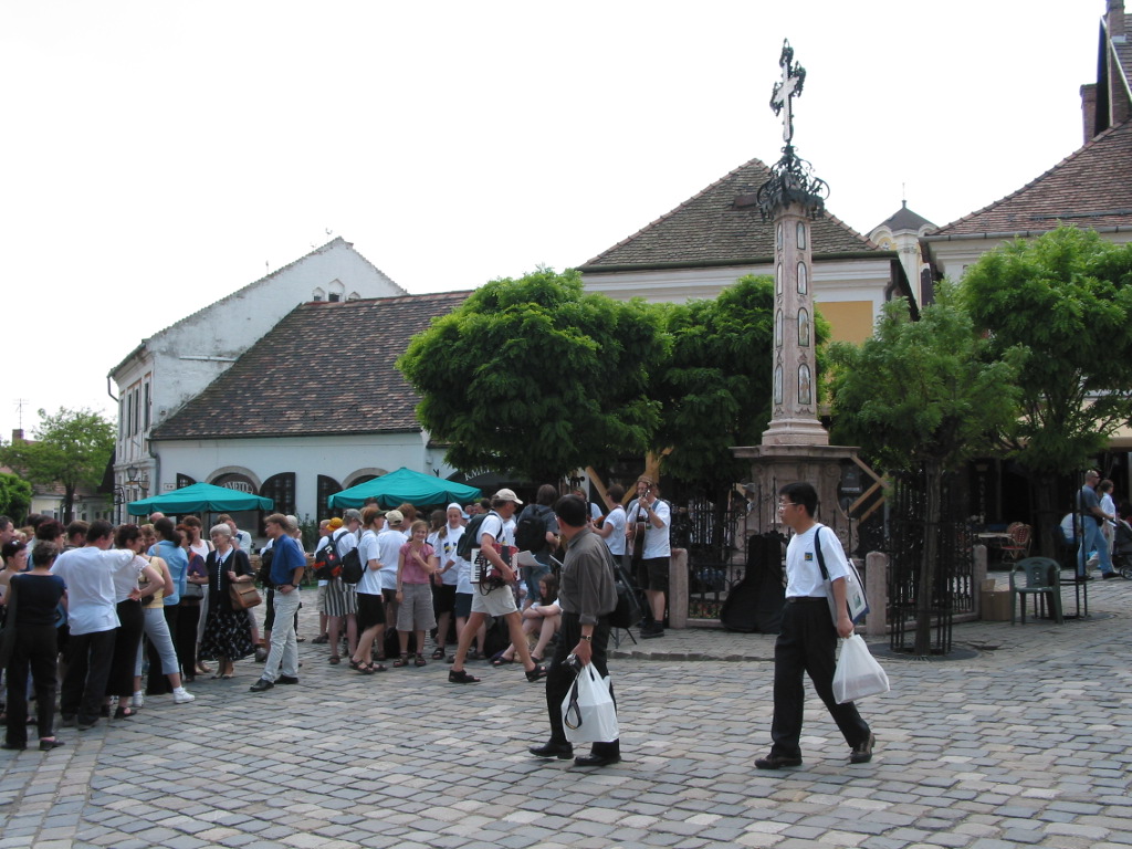 167-6787_IMG.JPG