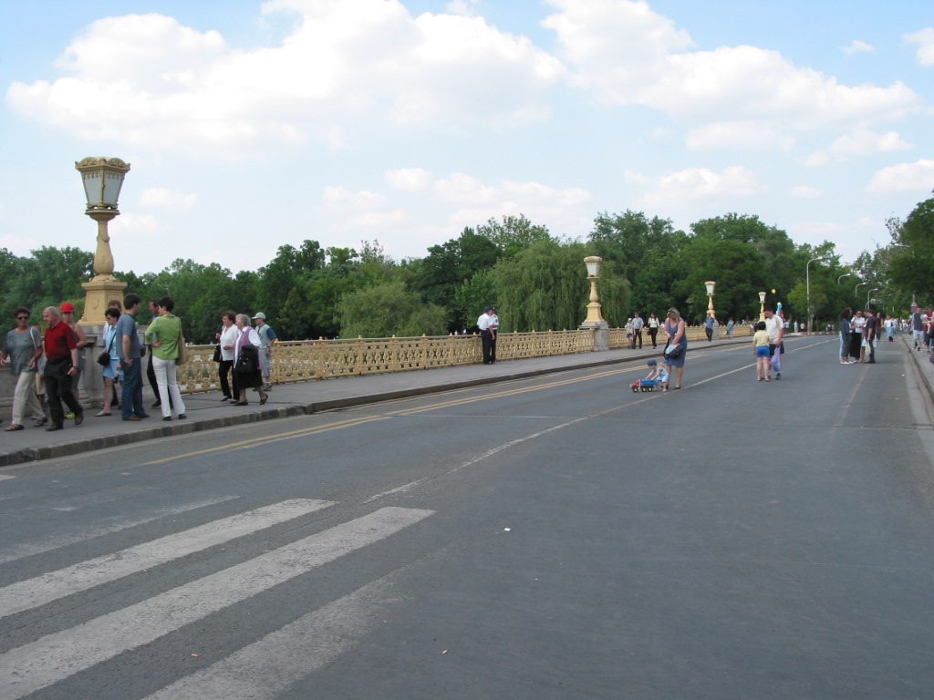 168-6838_IMG.JPG