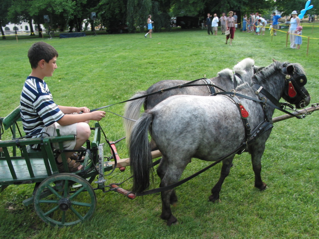 168-6847_IMG.JPG