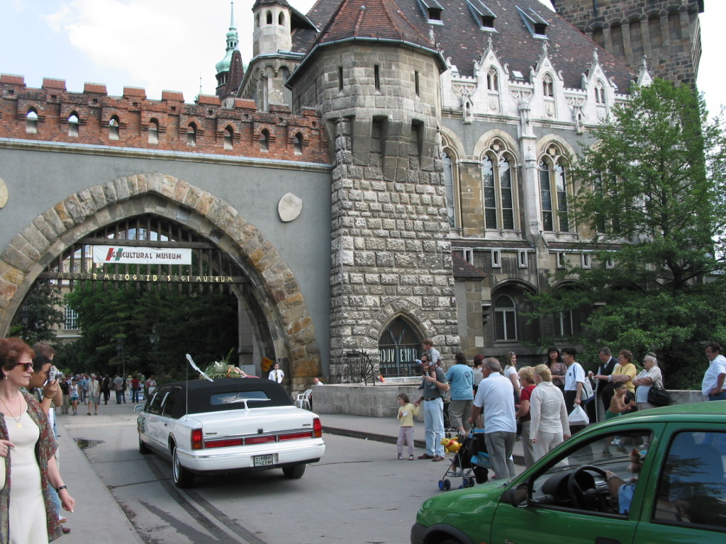 168-6854_IMG.JPG