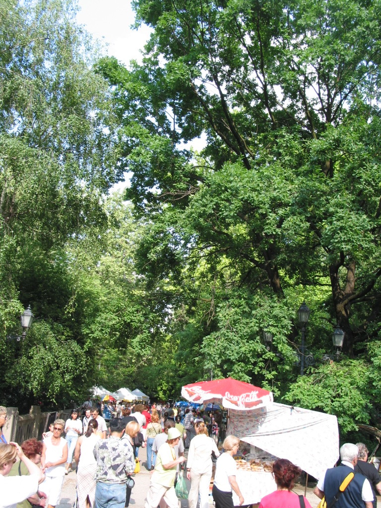 168-6870_IMG.JPG