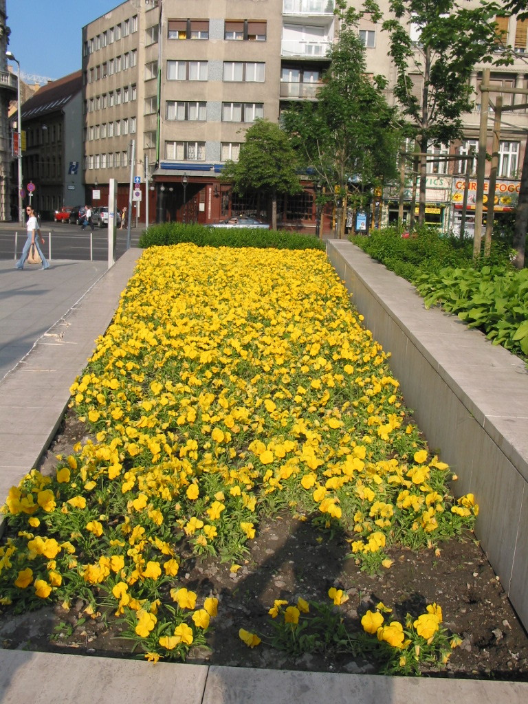 168-6898_IMG.JPG