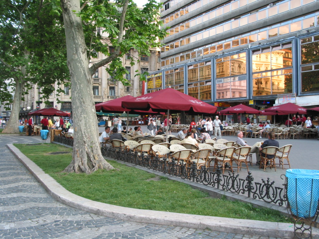 169-6976_IMG.JPG
