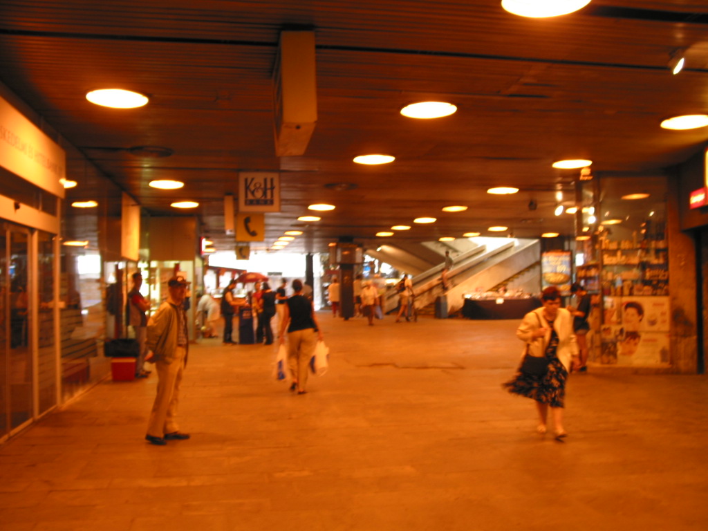 170-7012_IMG.JPG