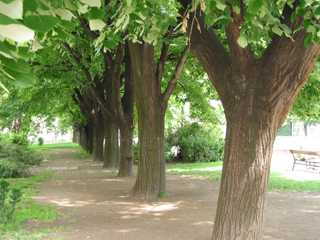 170-7040_IMG.JPG