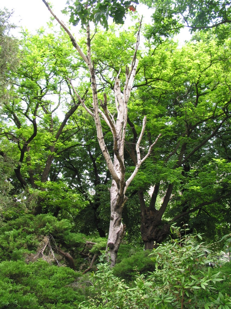 170-7042_IMG.JPG
