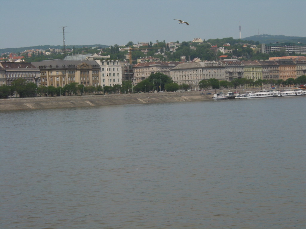 170-7072_STL.JPG