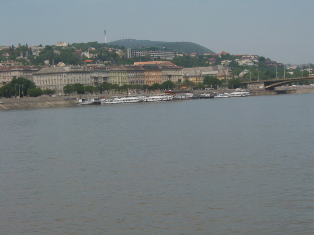 170-7073_STM.JPG