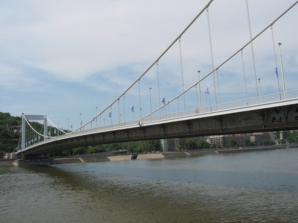 170-7099_IMG.JPG
