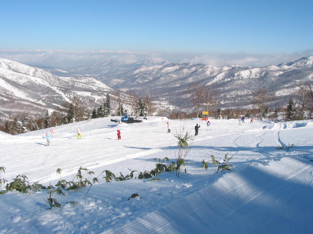 195-9538_STB.JPG