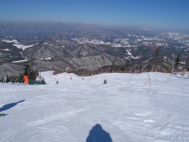 Original image