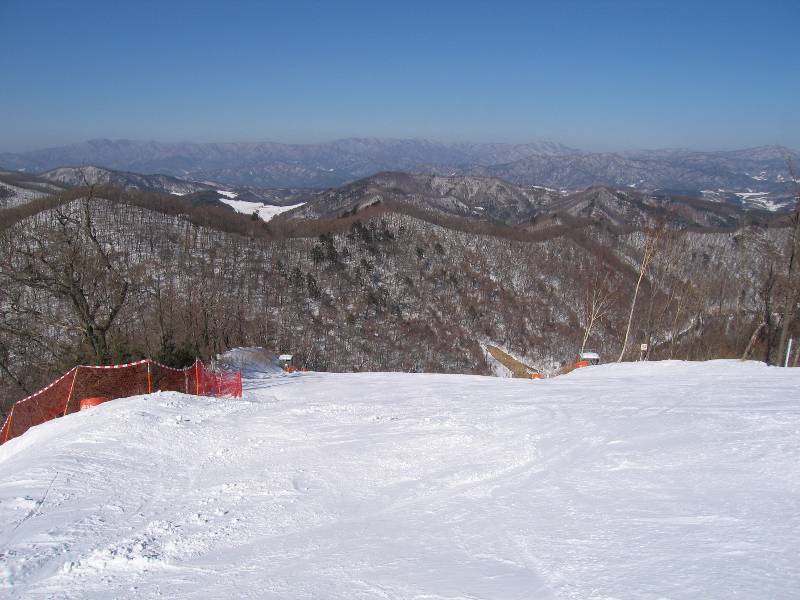 Original image